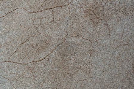 Foto de Beige lana de piel patrón abstracto naturaleza piel suave cálido esponjoso para el fondo y la textura, de cerca, vista superior - Imagen libre de derechos