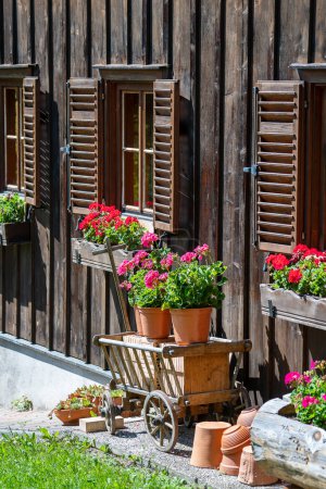 Photo for Wooden cart with red flowers in garden near wooden house, close up. Landscape design in the country style, Austria - Royalty Free Image