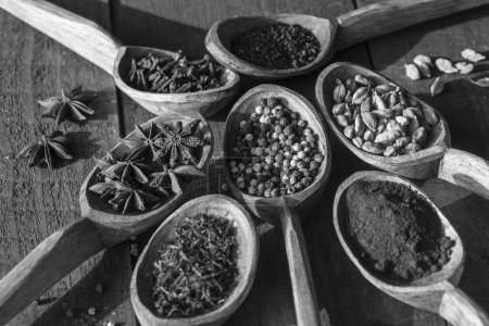 Photo for Set of spices in wooden spoons, close up, top view. Various pepper, chili peppers, cardamom, carnation, star anise, paprika, and saffron for cooking. Black and white - Royalty Free Image
