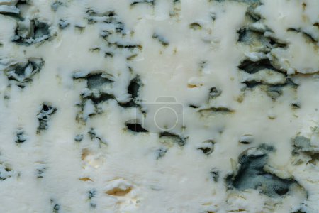 Photo for Blue cheese background and texture in the cut, top view, close up, macro - Royalty Free Image