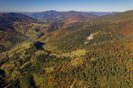 Téléchargez les photos : Beaux arbres sur les sommets des Carpates par une chaude journée d'automne sur la crête du col Synevyr et des nuages blancs sur fond de ciel bleu. Ukraine occidentale - en image libre de droit