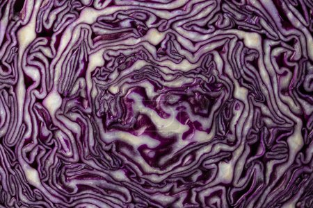 Photo for Background of blue cabbage in a section, macro photography. Close up, top view. Texture and pattern of raw purple cabbage - Royalty Free Image