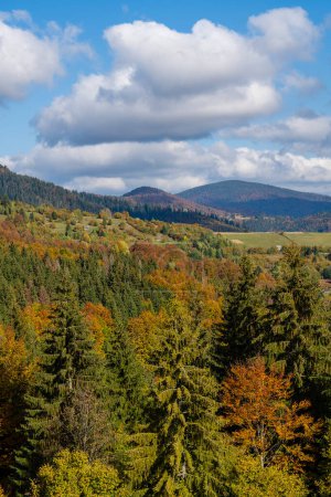 Téléchargez les photos : Belle forêt d'automne dans les montagnes des Carpates par une journée ensoleillée d'automne sur la crête du col Synevyr et fond bleu ciel. Ukraine occidentale - en image libre de droit