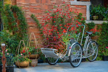 Photo for Vintage tricycle with a basket full of red rose flowers next to an old building in a tropical garden, Vietnam, close-up - Royalty Free Image