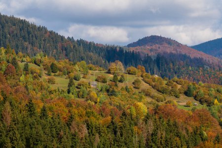 Téléchargez les photos : Belle forêt d'automne dans les montagnes des Carpates par une journée ensoleillée d'automne sur la crête du col Synevyr et fond bleu ciel. Ukraine occidentale - en image libre de droit