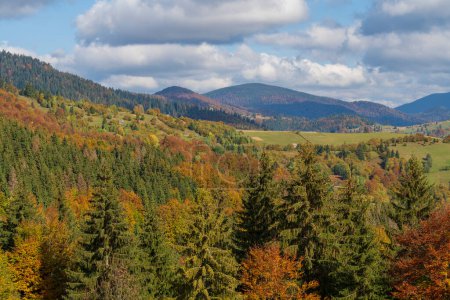Foto de Hermoso bosque de otoño en las montañas de los Cárpatos en un día soleado de otoño en la cresta Synevyr Pass y el fondo azul del cielo. Ucrania Occidental - Imagen libre de derechos