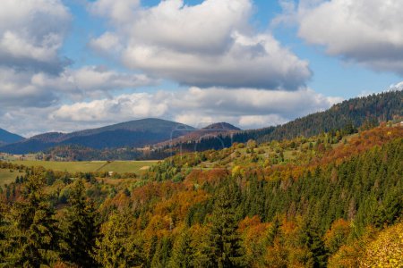 Photo for Beautiful autumn forest in the Carpathian mountains on a sunny autumn day on the Synevyr Pass ridge and blue sky background. West Ukraine - Royalty Free Image