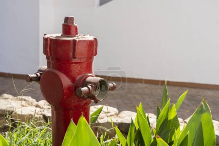 Foto de Red fire hydrant on a street in Egypt, close up. Fire hydrant or water plug provide the water required by fire fighters to extinguish a fire - Imagen libre de derechos