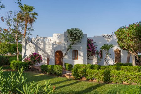 Téléchargez les photos : Maison murale blanche et arbre à fleurs sur la rue d'Egypte à Sharm El Sheikh - en image libre de droit