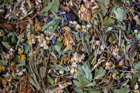 Photo for Dry flower and herbal tea leaves on background. Herbal collection of chamomile, cornflower, mint, lemongrass, wild rose and linden, top view, close up - Royalty Free Image