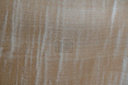 Foto de Chapa de madera textura o fondo. Patrón grunge decorativo con superficie de madera material natural. Vista superior, primer plano - Imagen libre de derechos