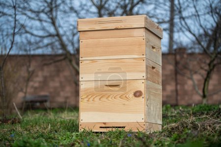 One new set of wooden beehive in the spring garden, close up