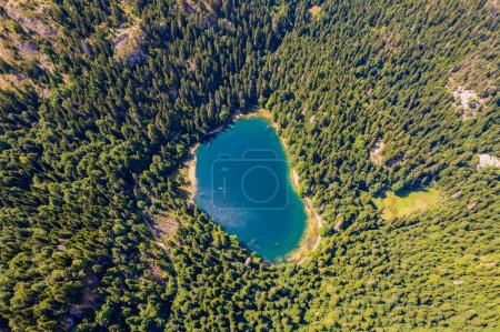 Foto de Vista aérea del lago de montaña rodeado de densos bosques de coníferas y hayas. Montenegro, Europa. En Montenegro lo llaman Zabojsko Jezero y tiene una elevación de 1481 metros - Imagen libre de derechos