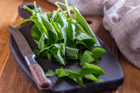 Photo for Ramson or wild garlic and knife on a cutting board on a wooden table, close up. Green leaves of wild garlic for salad preparation - Royalty Free Image