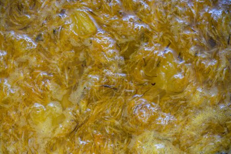 Foto de Hacer mermelada de pétalos amarillos maduros de flores de diente de león, naranja, limón y azúcar, vista superior, de cerca. Diente de león planta medicinal famosa - Imagen libre de derechos