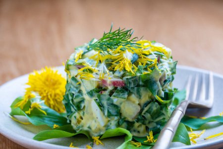 Photo for Healthy salad of green wild leek, poached egg, cucumber, radish, boiled potato and sour cream in plate, close up. Wild garlic salad with boiled eggs - Royalty Free Image