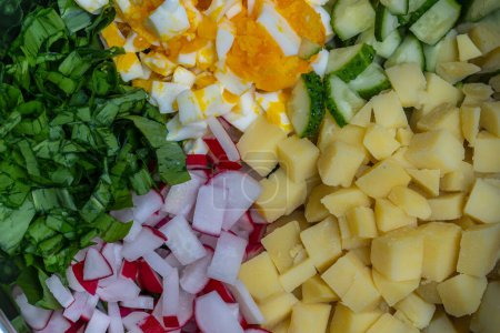 Photo for Fresh ingredients in salad bowl, close up. Chopped green wild garlic, poached egg, cucumber, radish, boiled potato for salad preparation - Royalty Free Image