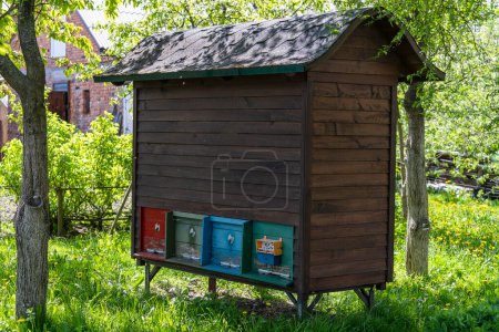 Foto de Conjunto de colmena de madera en el jardín de primavera, de cerca. Gran casa de abejas de madera - Imagen libre de derechos