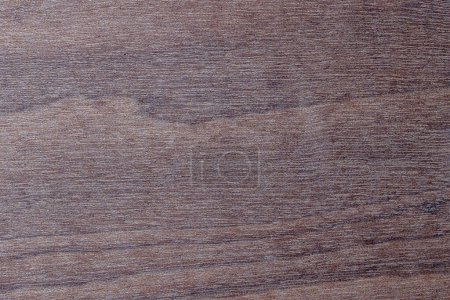 Photo for Dark wood texture template with natural pattern, close up. Empty arboreal background - Royalty Free Image