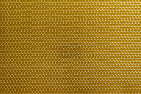 Photo for Background texture and pattern of section voshchina of wax honeycomb from a bee hive for filled with honey. Voshchina an artificial basis for the construction of honeycombs, sheet of wax of the cells - Royalty Free Image