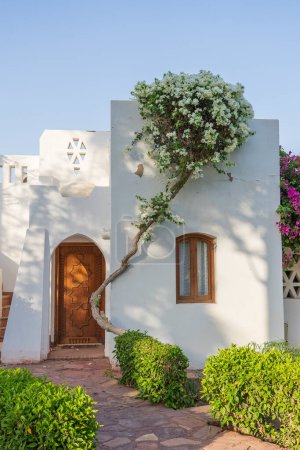 Foto de Casa de pared blanca y árbol de flores en la calle de Egipto en Sharm El Sheikh - Imagen libre de derechos