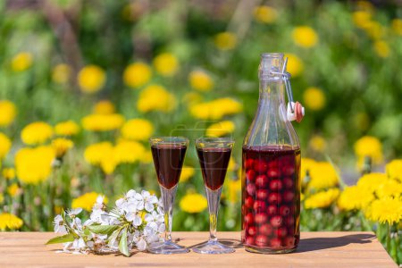 Foto de Brandy de cereza hecho en casa en dos vasos y en una botella de vidrio sobre una mesa de madera en un jardín de verano, de cerca - Imagen libre de derechos