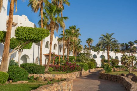 Téléchargez les photos : Belle vue sur les palmiers, les bâtiments blancs et le chemin de pierre à la station balnéaire tropicale de Sharm El Sheikh, Egypte - en image libre de droit