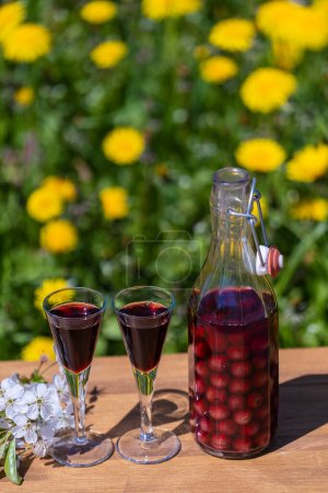 Foto de Homemade cherry brandy in two glasses and in a glass bottle on a wooden table in a summer garden, close up - Imagen libre de derechos