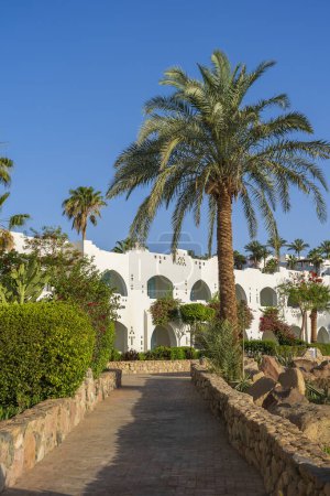 Foto de Hermosa vista de palmeras, edificios blancos y camino de piedra en la ciudad turística tropical de Sharm El Sheikh, Egipto - Imagen libre de derechos