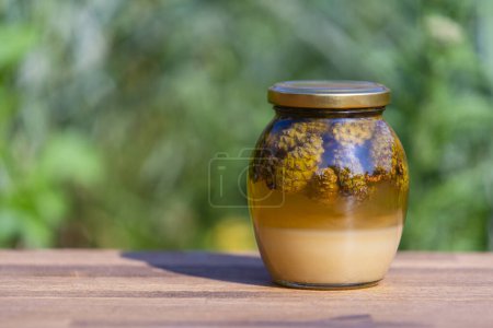 Photo for Glass jar of fresh honey with pine cones on a wooden table, close up - Royalty Free Image