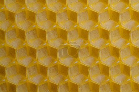 Photo for Background texture and pattern of section voshchina of wax honeycomb from a bee hive for filled with honey. Voshchina an artificial basis for the construction of honeycombs, sheet of wax of the cells - Royalty Free Image
