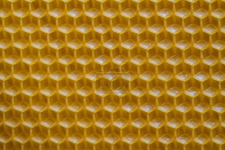 Foto de Textura de fondo y patrón de sección voshchina de panal de cera de una colmena de abejas para rellenar con miel. Voshchina una base artificial para la construcción de panales, hoja de cera de las celdas - Imagen libre de derechos