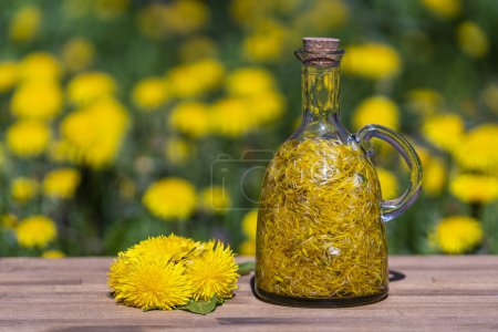 Photo for Homemade dandelion flowers tincture in glass bottle on a wooden table in a summer garden, close up - Royalty Free Image
