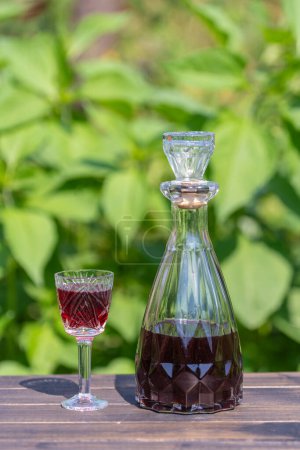 Foto de Homemade cherry brandy in glasses and in a glass bottle on a wooden table in a summer garden, close up - Imagen libre de derechos
