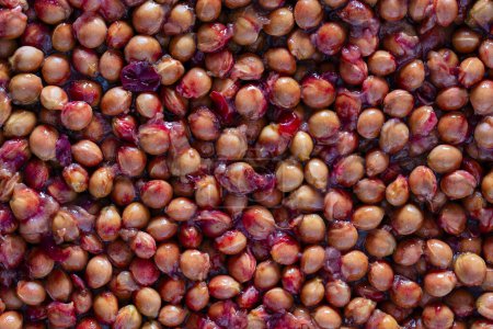 Photo for Lots of sour cherry pits as a background close up. Texture of dried cherry kernels. Top view - Royalty Free Image