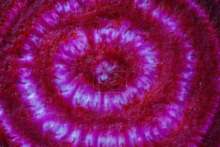 Photo for Beetroot slice closeup. Beetroot slice background. Top view - Royalty Free Image