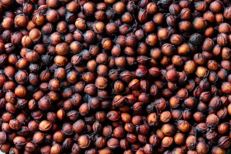 Photo for Lots of sour cherry pits as a background close up. Texture of dried cherry kernels. Top view - Royalty Free Image