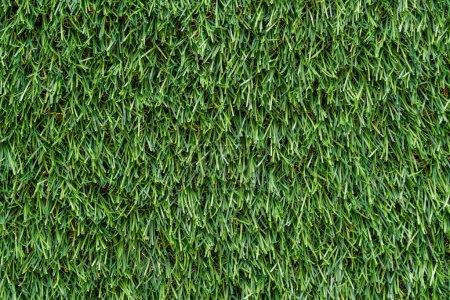 Photo for Artificial green grass using for background or texture, close up - Royalty Free Image