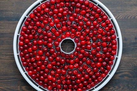 Photo for Prepared ripe red pitted cherries on a drying tray for dehydrator, close up, top view. A way to preserve vitamins. Vegetarian meal, healthy and useful - Royalty Free Image