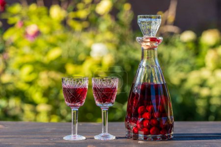 Foto de Brandy de cereza roja hecho en casa en vasos y en una botella de vidrio sobre una mesa de madera en un jardín de verano, de cerca - Imagen libre de derechos
