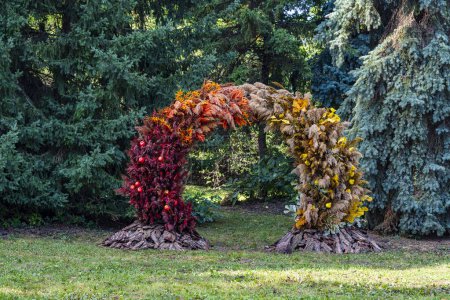 Téléchargez les photos : Belle arche d'automne avec feuilles de céréales ornementales entrelacées, pommes et poires dans le jardin de la ville, Kiev, Ukraine - en image libre de droit