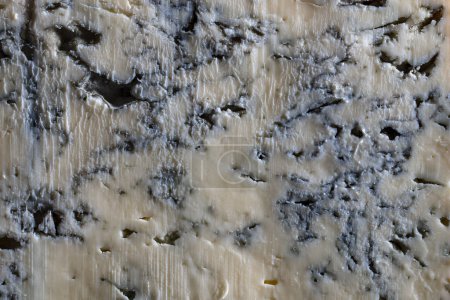 Photo for Piece of blue cheese on background, close up - Royalty Free Image
