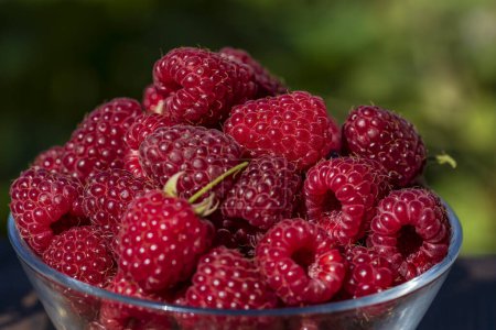 Photo for Fresh ripe red raspberry berries in a glass bowl on a wooden table in the garden, close up - Royalty Free Image