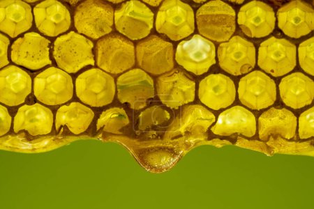 Téléchargez les photos : Miel dégoulinant de peigne de miel sur fond nature, gros plan. Douce goutte de miel sur le nid d'abeille. Concept d'alimentation saine. Miel en peignes - en image libre de droit