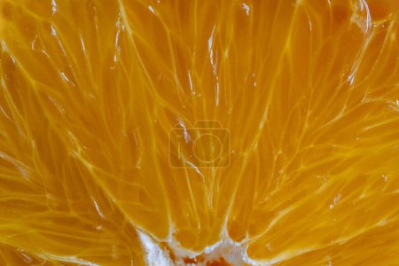 Téléchargez les photos : Gros plan de l'orange mûre tranchée, macro. Fond ou texture jaune de surface orange fraîche. Vue du dessus - en image libre de droit