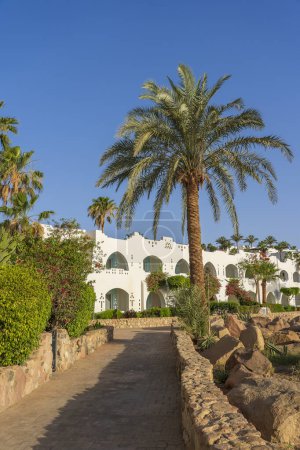 Foto de Hermosa vista de palmeras, edificios blancos y camino de piedra en la ciudad turística tropical de Sharm El Sheikh, Egipto - Imagen libre de derechos