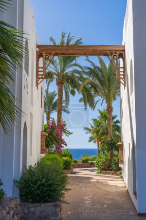Téléchargez les photos : Belle vue sur la mer Rouge entre deux murs blancs d'un bâtiment dans la station balnéaire de Sharm El Sheikh, Egypte, Afrique. Mer bleue, palmier vert et chemin sur la plage - en image libre de droit