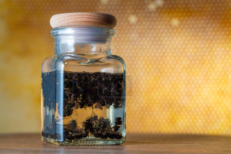Glasflasche Tinktur von toten Bienen in Wodka auf einem Hintergrund aus Waben, aus nächster Nähe. Biologische Phytokonzentrat-Tinktur aus Bienenpodmore, natürliches Imkereiprodukt, Apitherapie
