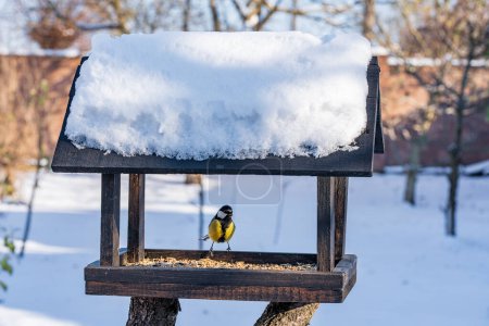 Photo for Wooden bird feeder in the form of a house on an winter garden. Behavior of birds at feeder with seeds. There are tits in feeder. Birds at the feeder - Royalty Free Image