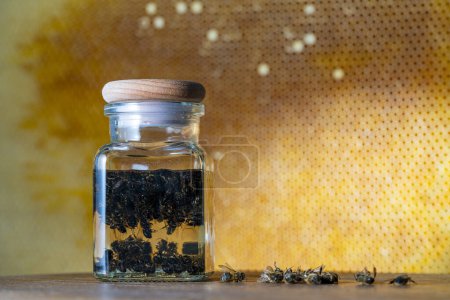 Glass bottle of tincture from dead bees in vodka on a background of honeycombs, close up. Organic phytoconcentrate tincture of bee podmore, natural beekeeping product, apitherapy